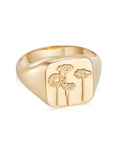 Kevinangel.shop1352bb1c37 1