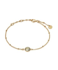 Kevinangel.shop31ed8ec671 1