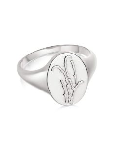 Kevinangel.shop4b9d73b8bf 1