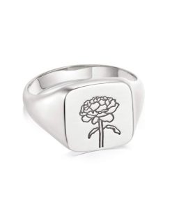 Kevinangel.shop5b6b6a38b6 1