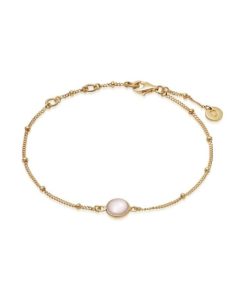 Kevinangel.shop79aa32763b 1