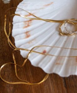 Kevinangel.shop7a38e875c2 2