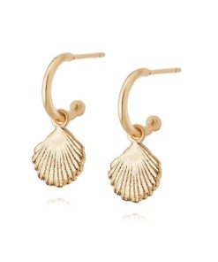 Kevinangel.shop8d04569bbd 1