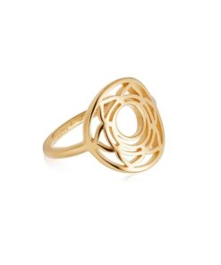 Kevinangel.shope4cc555b91 1