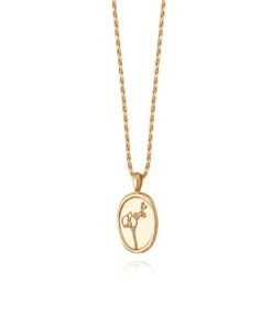 Kevinangel.shopf0f101bfb0 1