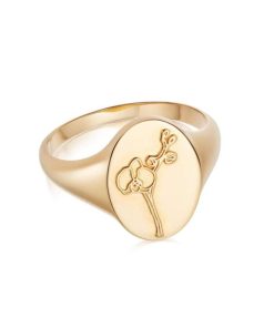 Kevinangel.shopf34fabb705 1