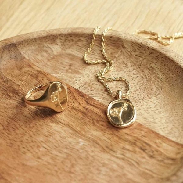 Kevinangel.shopf34fabb705 3